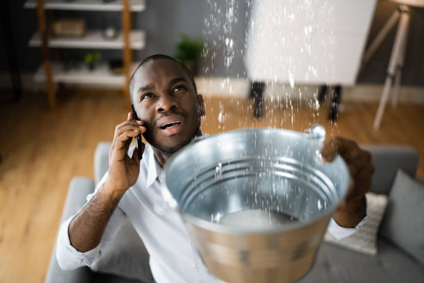 Best Water damage mitigation services  in Heyburn, ID