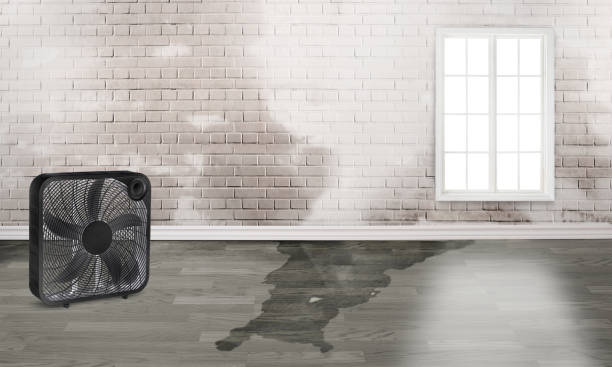 Best Flood restoration services  in Heyburn, ID