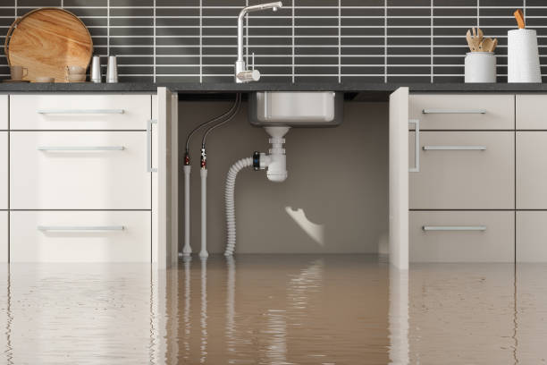 Best Emergency water damage restoration  in Heyburn, ID