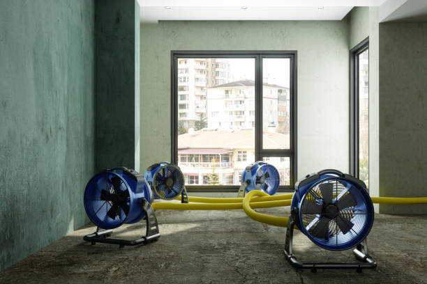 Best Sewage cleanup and water damage restoration  in Heyburn, ID